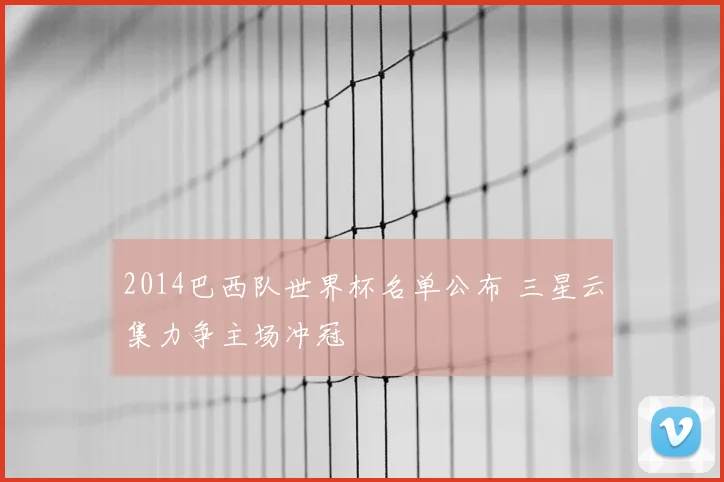 2014巴西队世界杯名单公布 三星云集力争主场冲冠