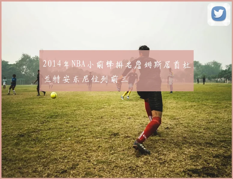 2014年NBA小前锋排名詹姆斯居首杜兰特安东尼位列前三