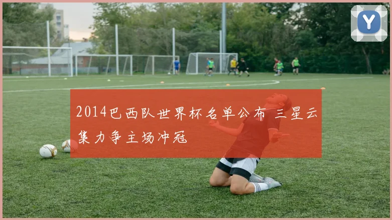 2014巴西队世界杯名单公布 三星云集力争主场冲冠
