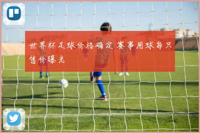 世界杯足球价格确定 赛事用球每只售价曝光